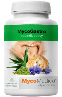 mycogastro_vitalni
