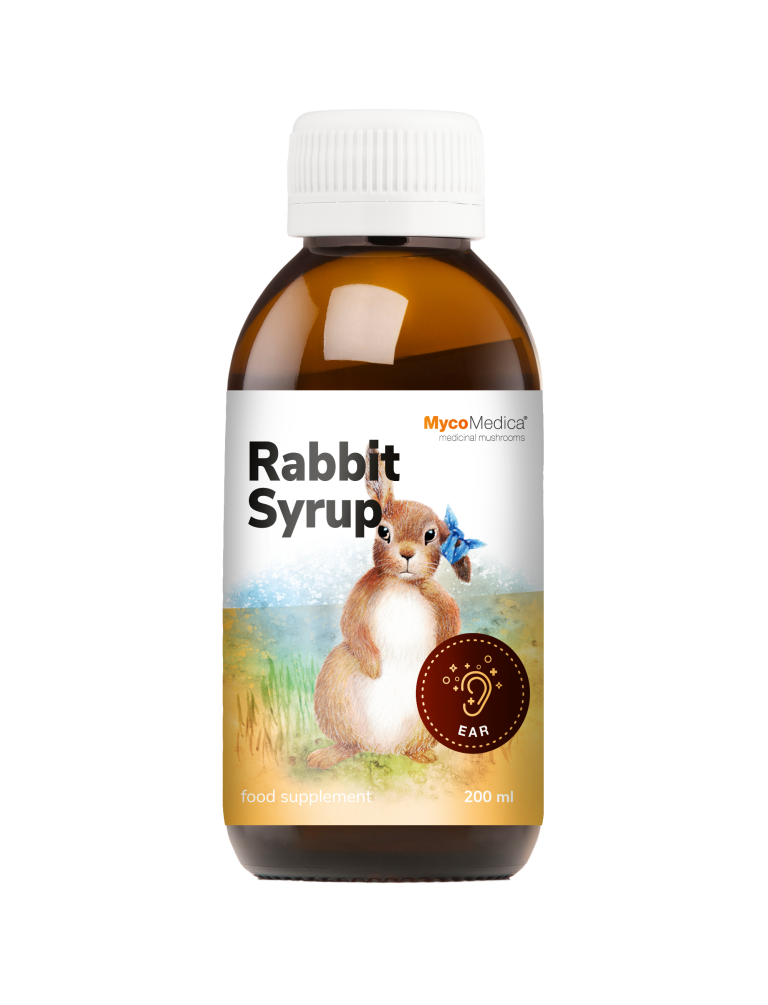 Turtle Syrup | MycoMedica - MycoMedica - vital mushrooms